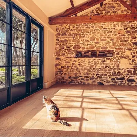 Jolly Château - Private Damien Couette-café Le Bernard