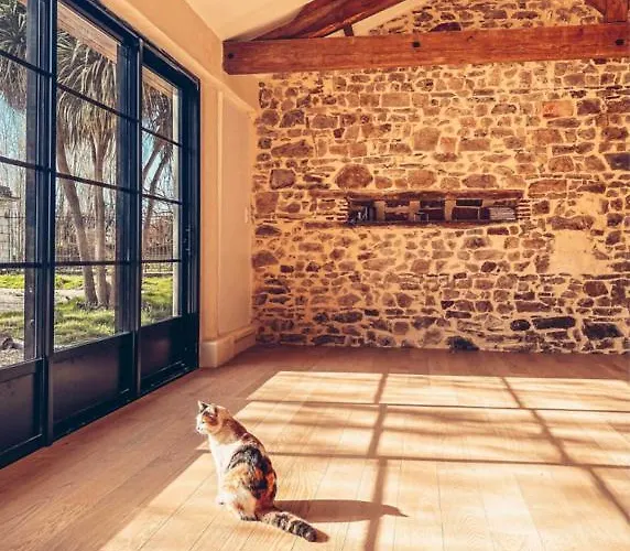 Jolly Château - Private Damien Couette-café Le Bernard